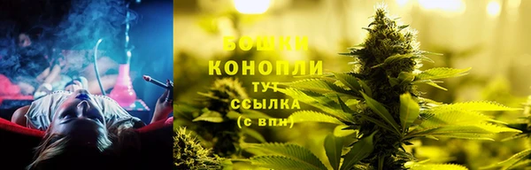 гидра Вязники