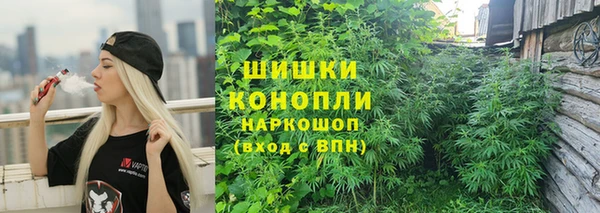 гидра Вязники