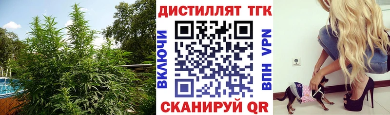 Купить где  Липки  ТГК гашишное масло 