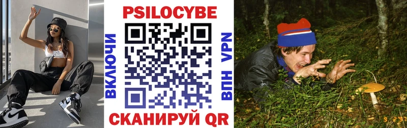 Купить где  Липки  Псилоцибиновые грибы Psilocybine cubensis 